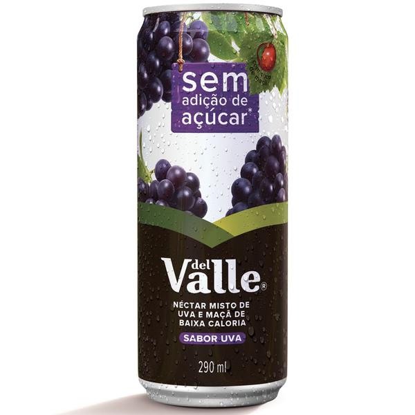 NECTAR DEL VALLE 290ML UVA