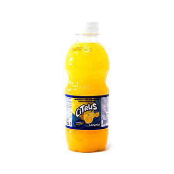 SUCO INDAIA PET FRUTAS/CITRICAS 330ML