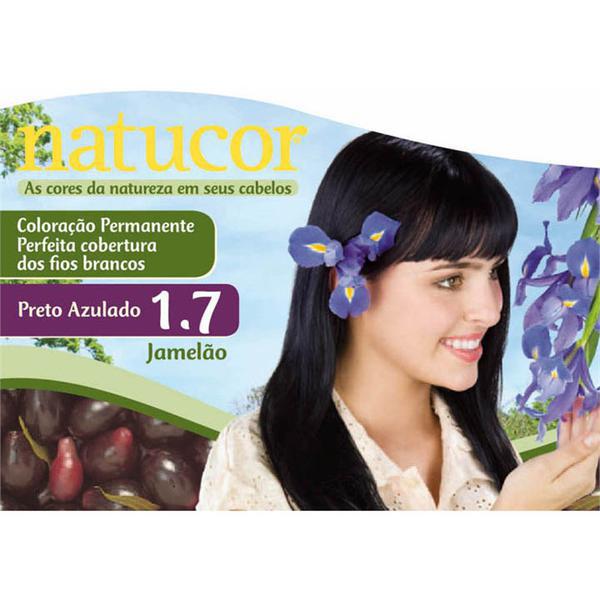 TINT NATUCOR 1.7 PRETO AZULADO