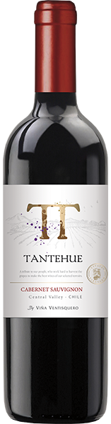 VINHO TANTEHUE CAB SAUV 750ML