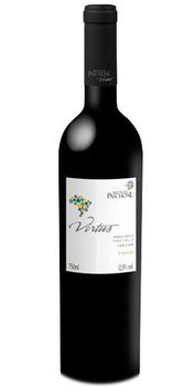 VINHO VIRTUS 750ML TANNAT