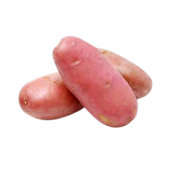 Supermercados Real Niteroi BATATA PORTUGUESA 1KG