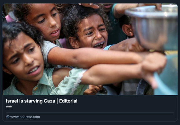 Screenshot di un editoriale dal quotidiano israeliano Haaretz, dal titolo "Israel is starving Gaza | Editorial".

L'immagine mostra diversi bambini palestinesi con le mani tese verso un contenitore metallico, in fila per ricevere un pasto caldo presso un punto di distribuzione alimentare a Nuseirat nel mese di giugno.
Crediti: Eyad Baba/AFP