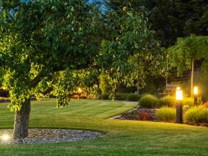 Transform Your Business with Custom Landscape Lighting