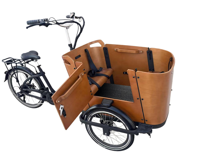 Is the Pioneer Lite suitable as an entry-level electric hunting bike?