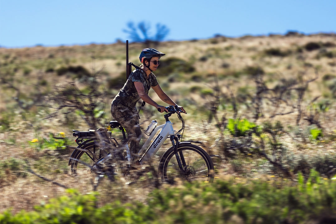 Does the Pioneer Plus come with a dual battery electric system? Dirwin Bike Does the Pioneer Plus come with a dual battery electric system?