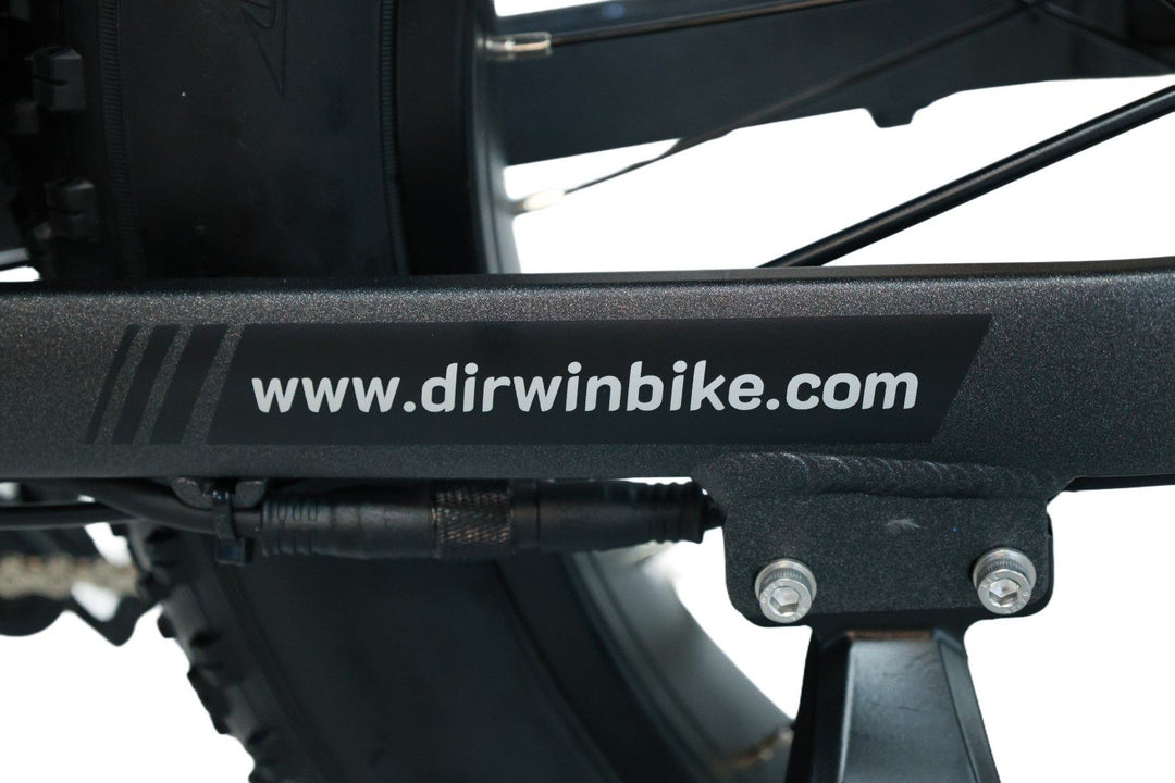 Dirwin Hunting eBikes with XL TFT Displays
