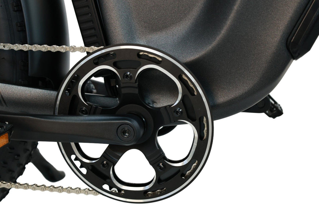 Top Fat Tire Hunting eBikes by Dirwin