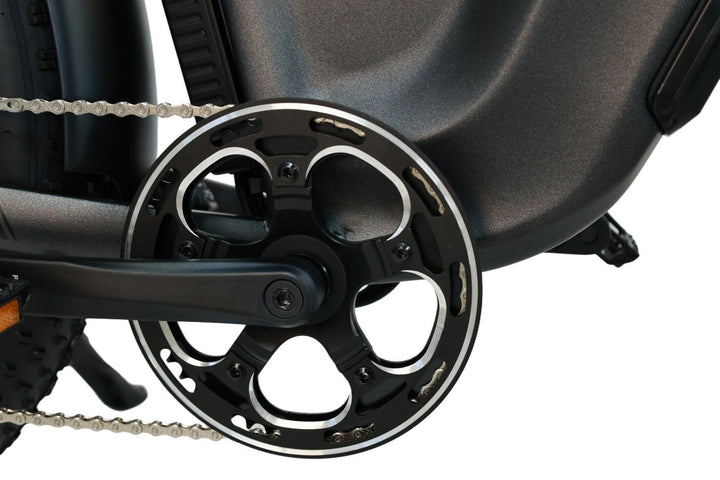 Fat Tire Hunting eBikes for Late-Season Hunts