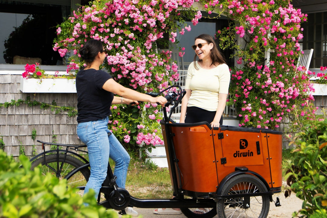 How do Dirwin eBikes compare to traditional mountain bikes?