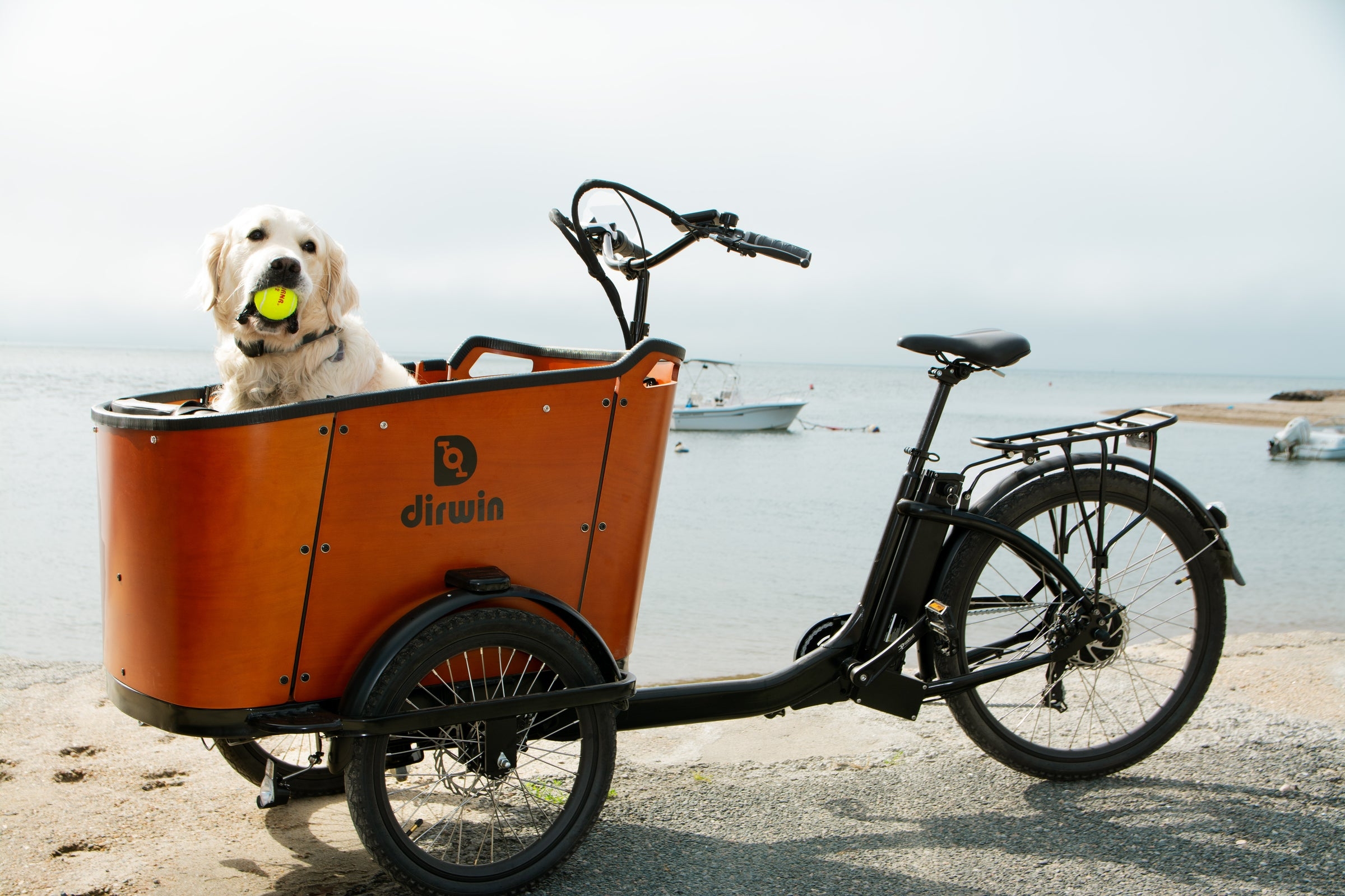 What is the Pioneer 2 electric hunting bike with a 90–120 mile range?