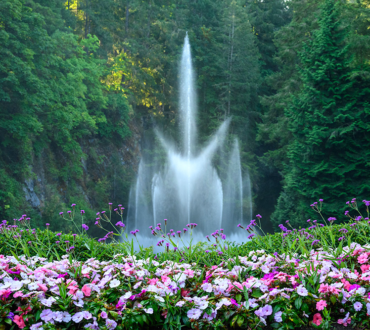 Victoria Sightseeing Day Trips Scenic Walking City Adventures