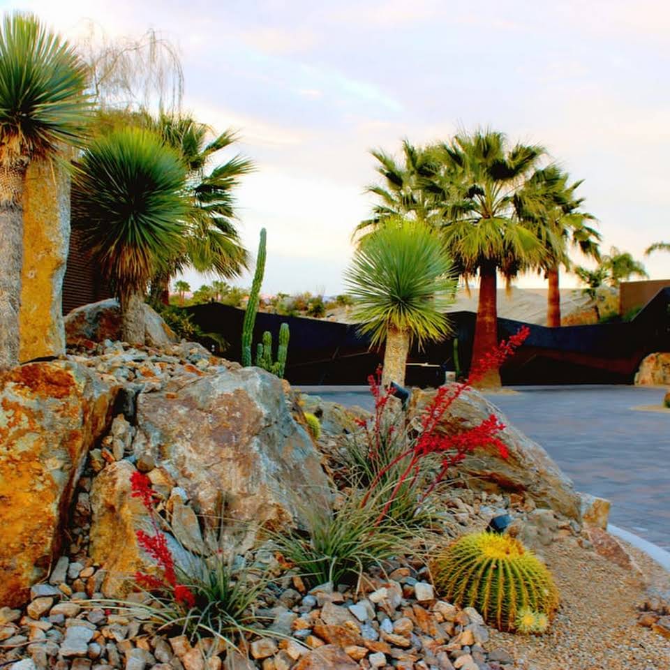 Tucson Landscaper Llc 12