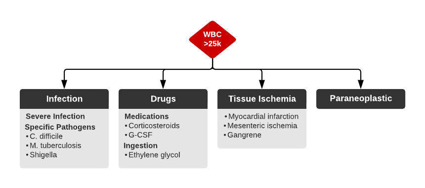 Differential Diagnosis of Leukemoid Reaction