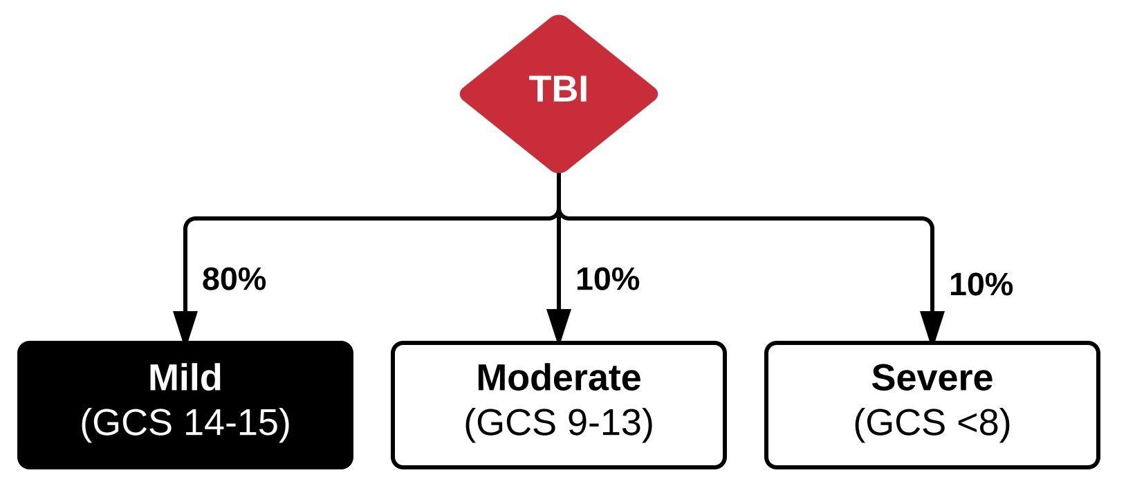 Mild TBI.JPG