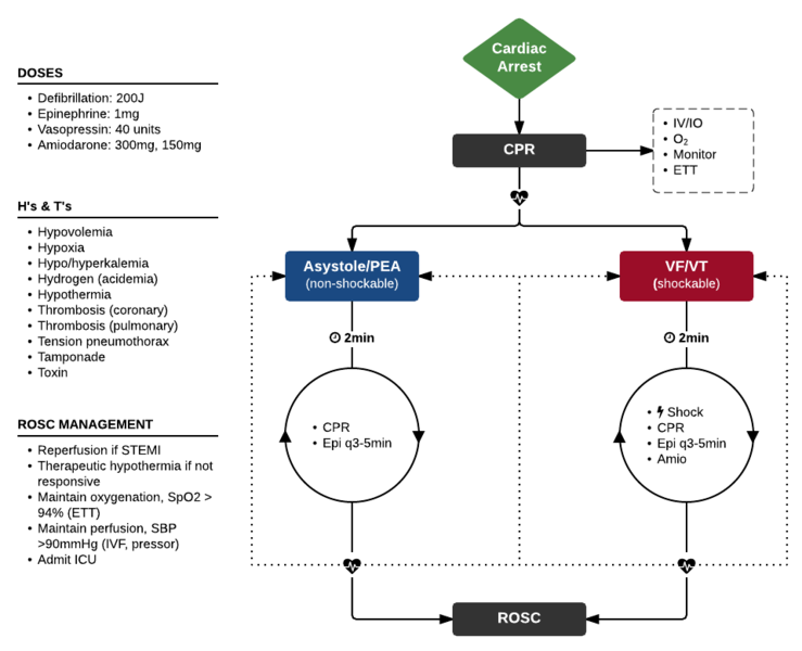 File:ACLS-arrest.png