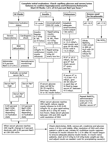 File:ADA DKA.gif