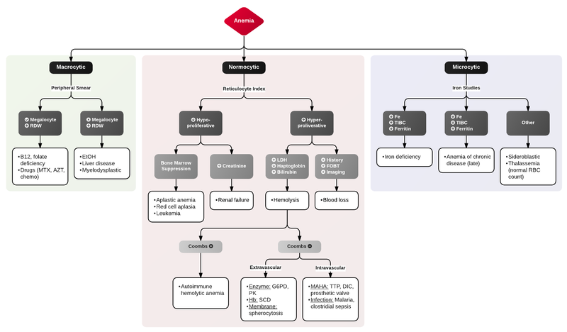 File:Anemia.png