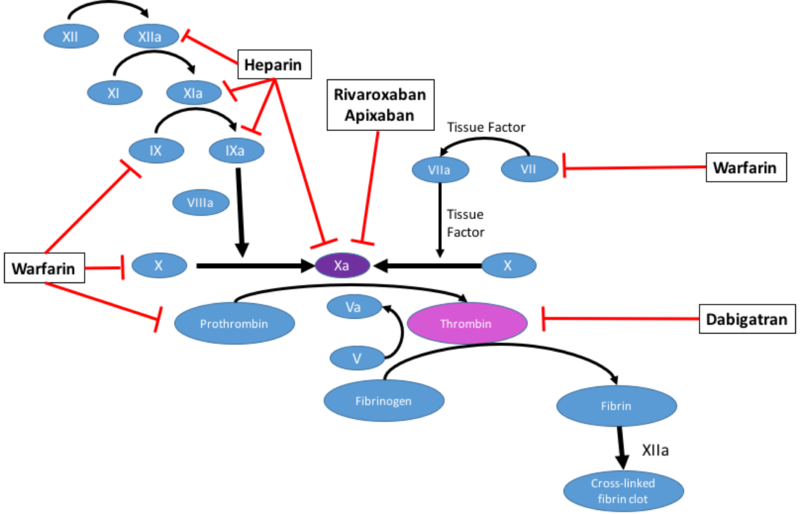 File:Anticoagulants.png