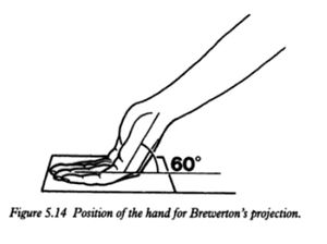 Brewerton.jpg