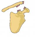 Classification type 5 of AC separation.png