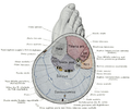 Thumbnail for version as of 22:09, 20 July 2014