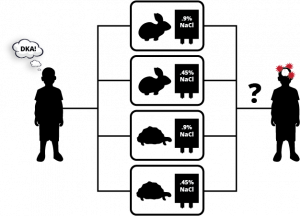 DKA Infusion.png