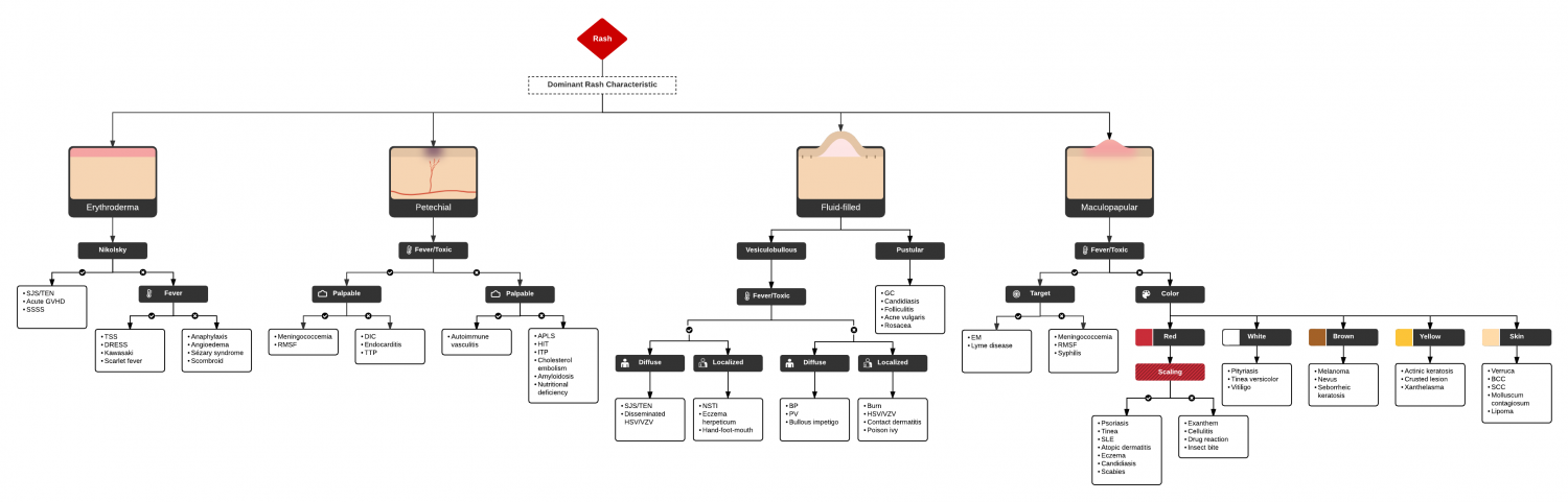 Algorithm for the Evaluation of Dermatologic Emergencies