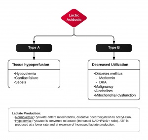 Elevated Serum Lactate - New Page.jpeg