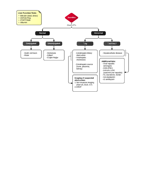 File:Evaluation of Hyperbilirubinemia.png