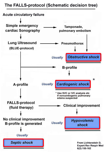 File:Falls protocol.jpg