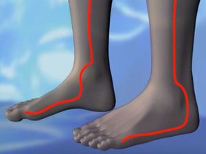 Feet.JPG
