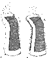 Thumbnail for version as of 23:56, 6 March 2012