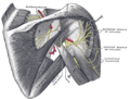 Thumbnail for version as of 15:50, 3 April 2017