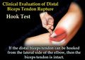 Thumbnail for version as of 17:25, 7 October 2016
