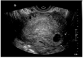 Thumbnail for version as of 21:11, 18 October 2017