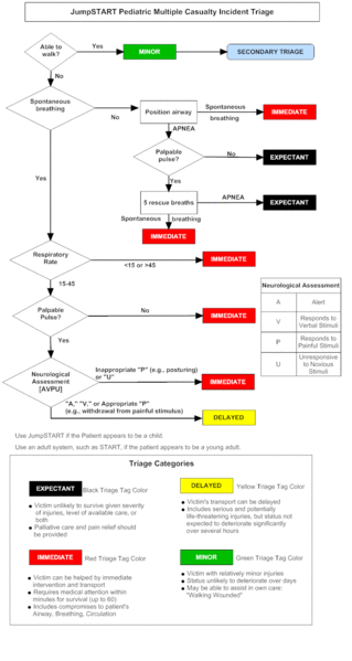 File:JumpSTART Triage 2.gif