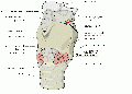 Larynx external Cricothyrotomy.gif