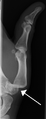 Thumbnail for version as of 17:57, 28 April 2017