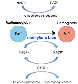 Methemoglobinemia.JPG