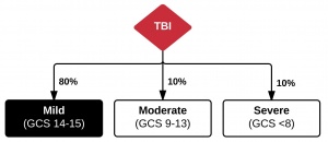 Mild TBI.JPG