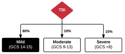 Mild TBI.JPG