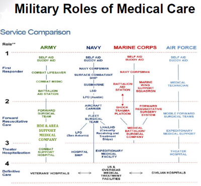 Military roles.PNG