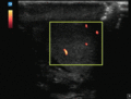Thumbnail for version as of 13:35, 15 August 2016