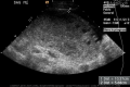Thumbnail for version as of 21:23, 19 October 2017