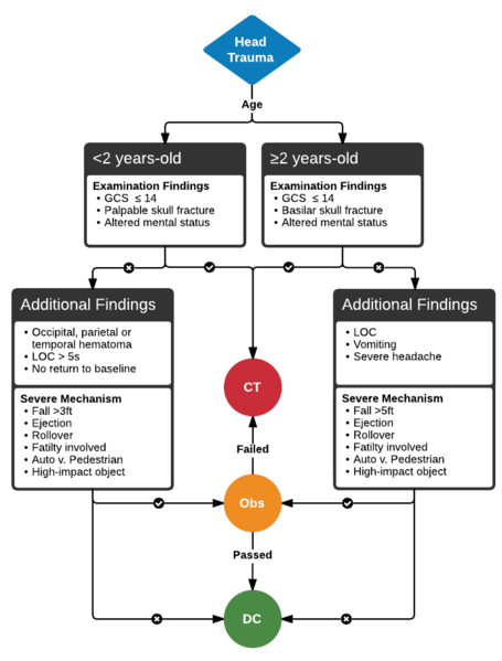 File:PECARN Head.png
