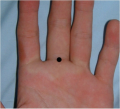 Thumbnail for version as of 19:04, 17 June 2021