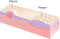 Thumbnail for version as of 14:40, 10 September 2020