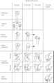 Thumbnail for version as of 00:29, 10 January 2012