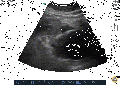 Thumbnail for version as of 22:05, 30 December 2017